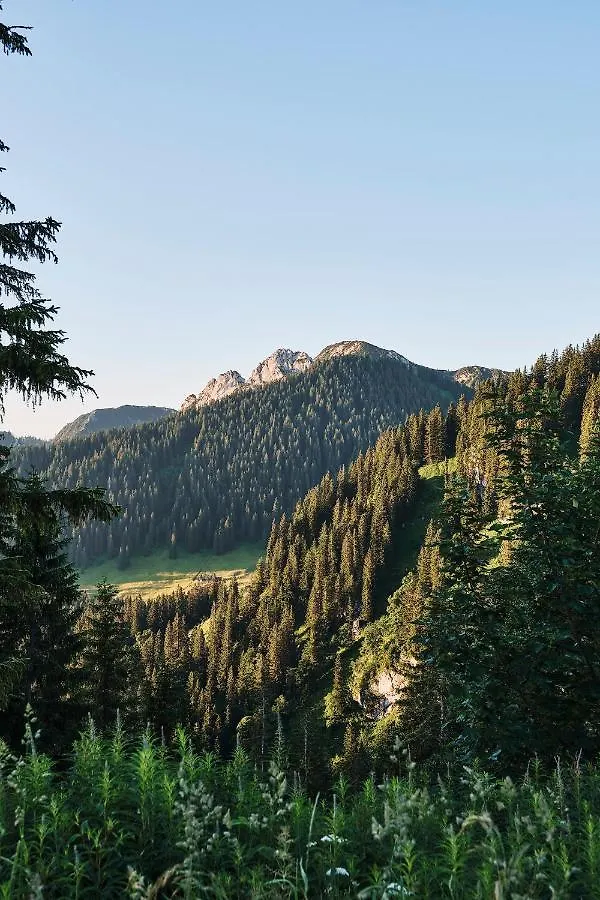 Berghotel Altes Wallberghaus Rottach-Egern Guest house